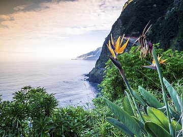 Zdjęcie kierunku: Funchal